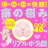 Bote Bara DX - PREGNANT